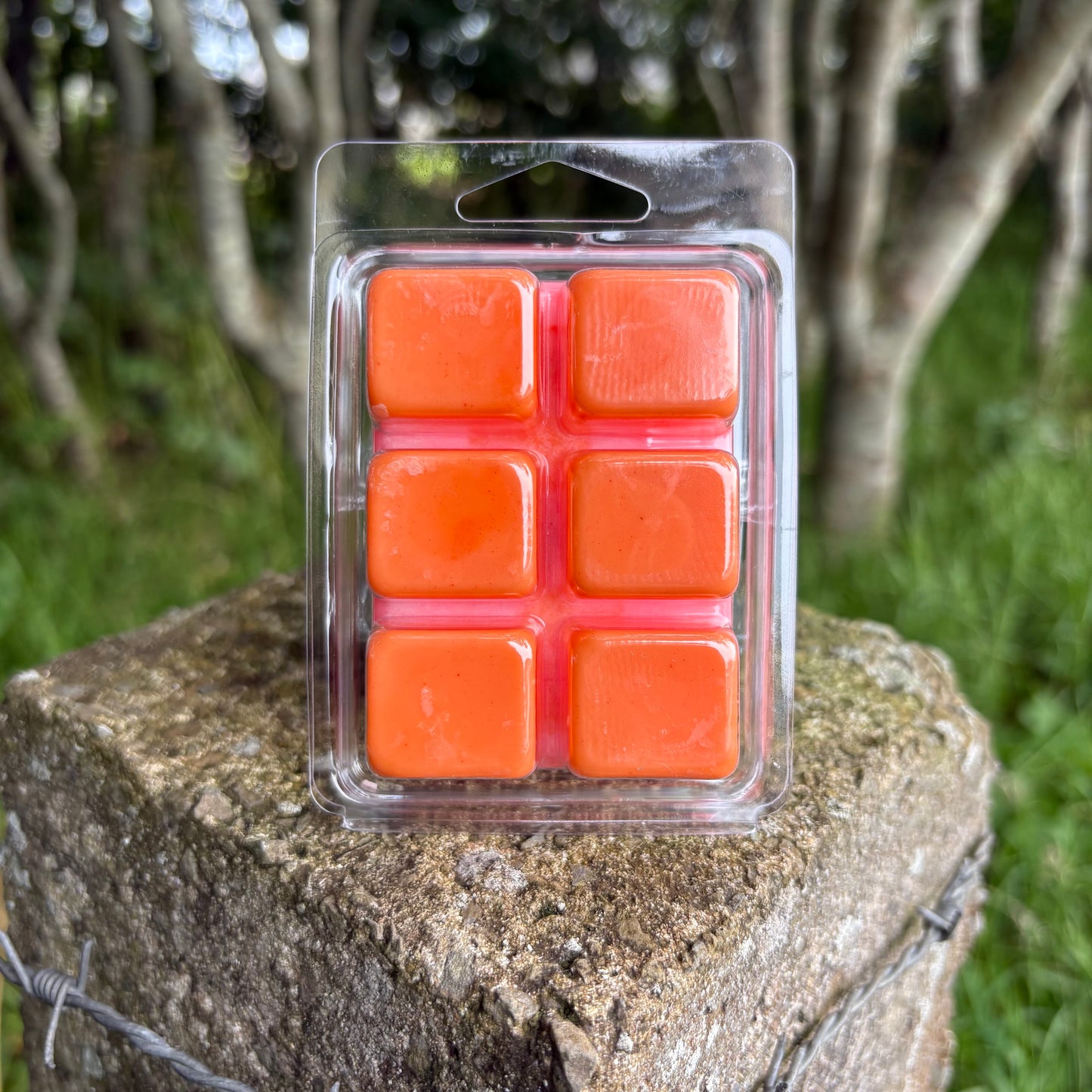 Highland Coo Wax Melt