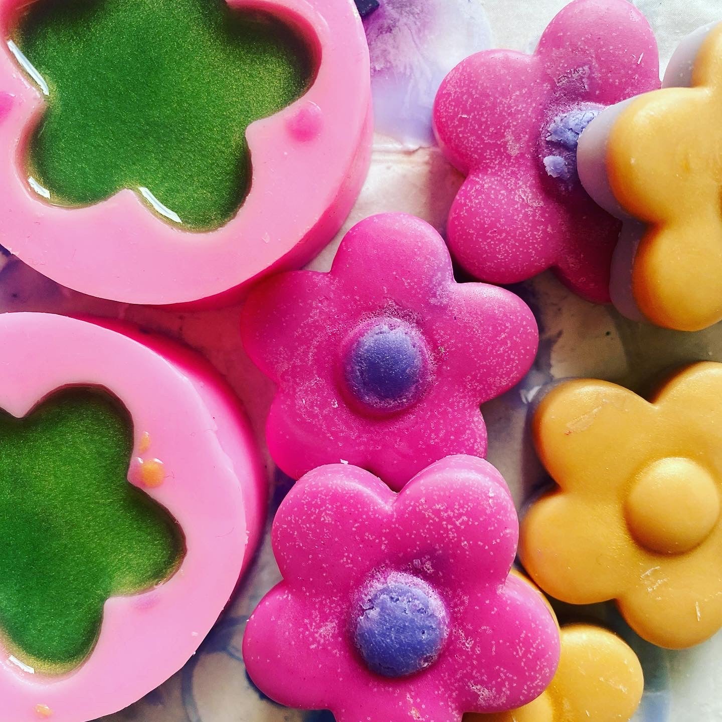 Primula Scotica Flower Melts