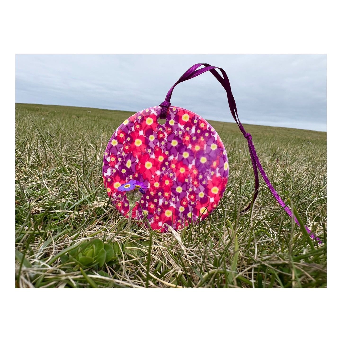 Ceramic Primula Scotica Hanging Ornament