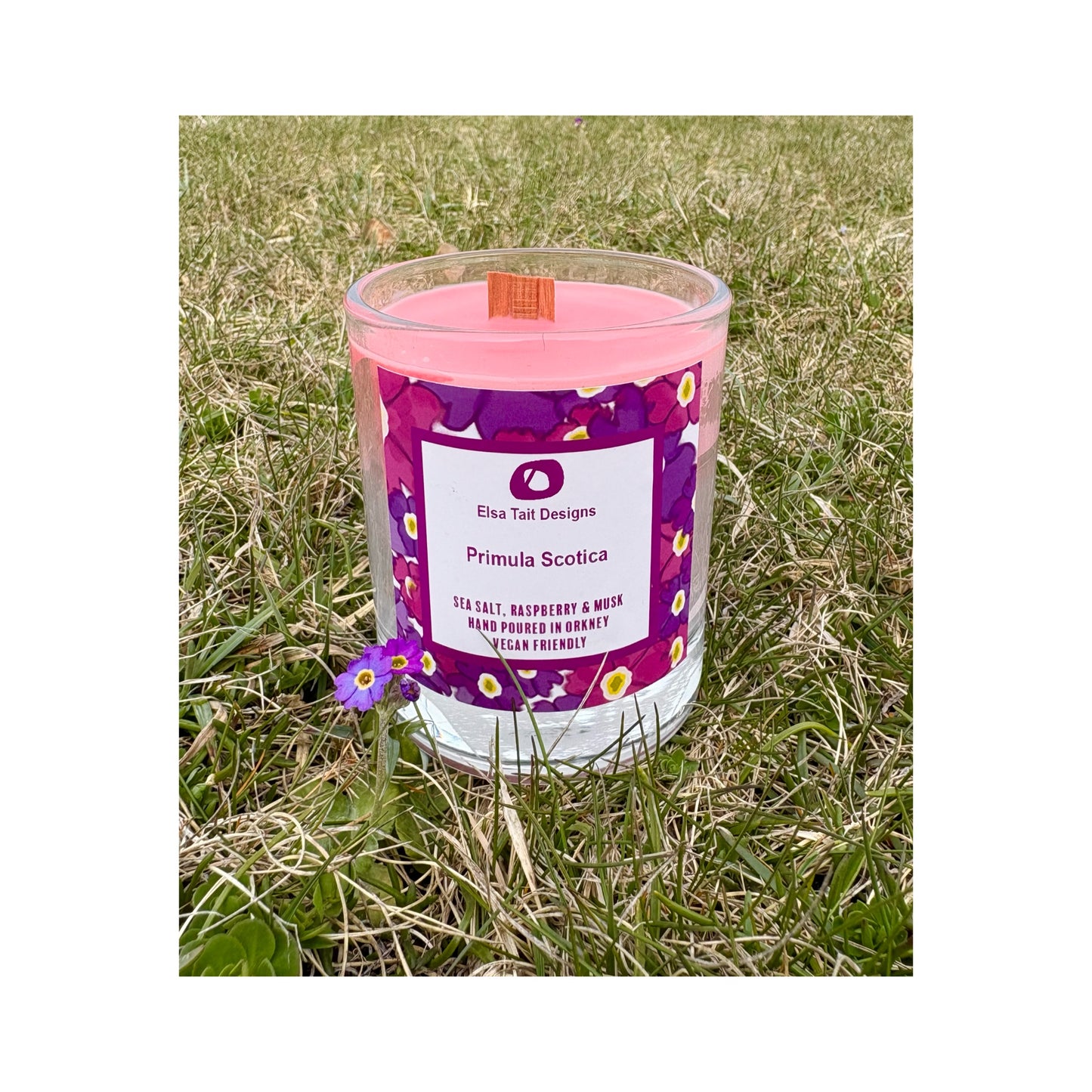 Primula Scotica Candle