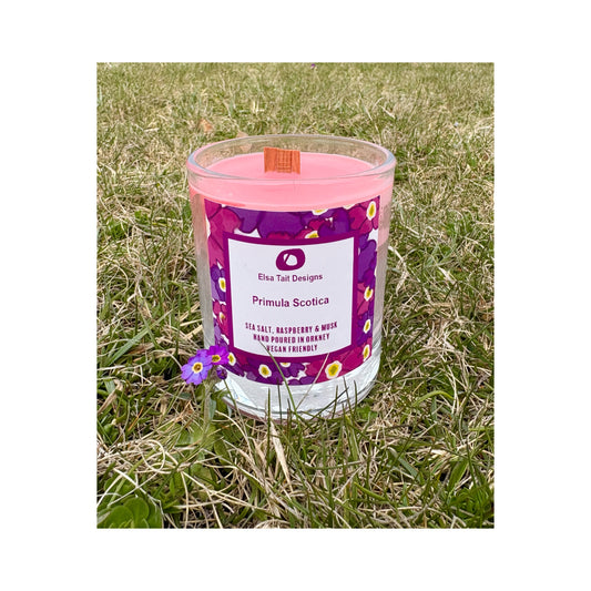Primula Scotica Candle